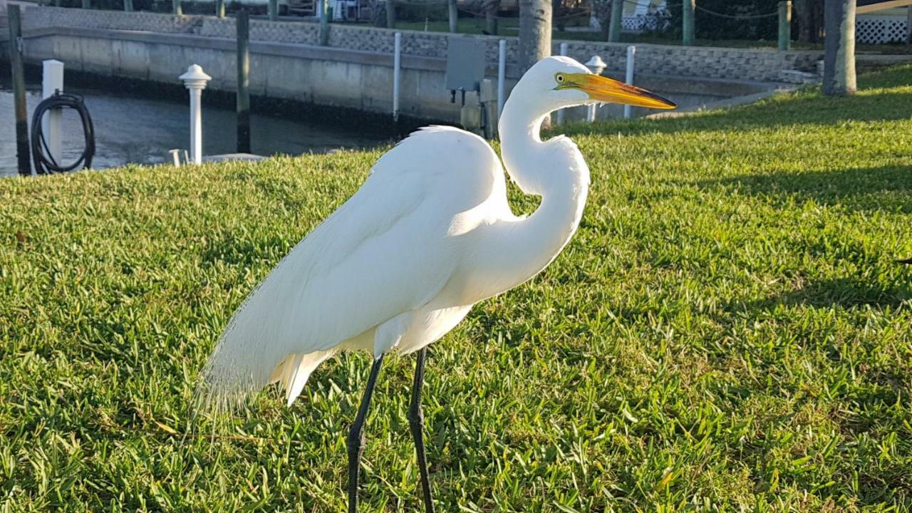 Siesta Key Condo - On The Water ! Экстерьер фото